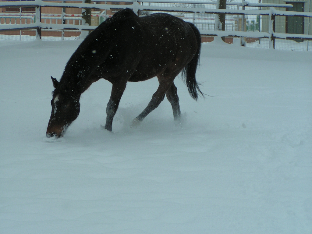 DECEMBRE 2005 247.jpg